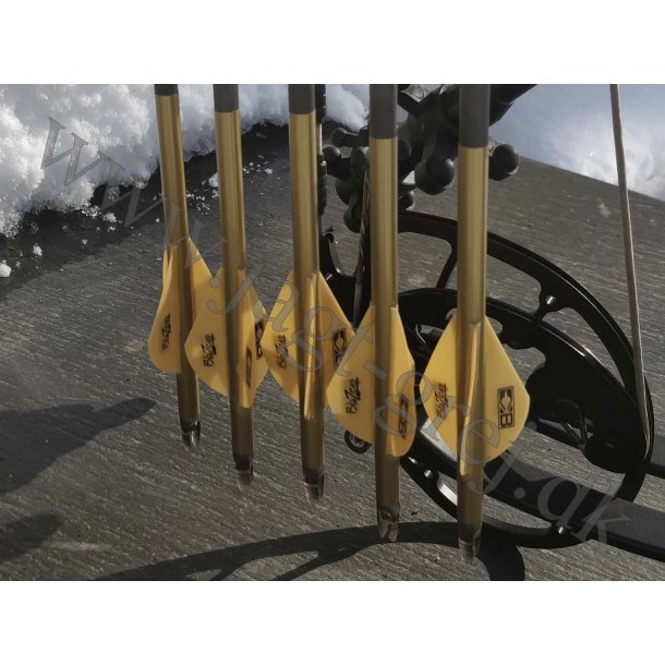 Andersen's Guld 5'' x 1,05", 12 stk.
