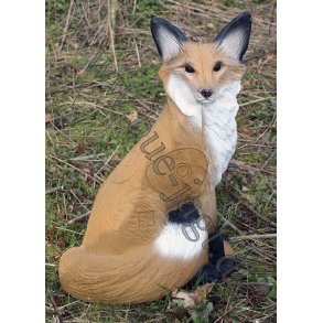 Siddende 3D Rv med klippe baggrund