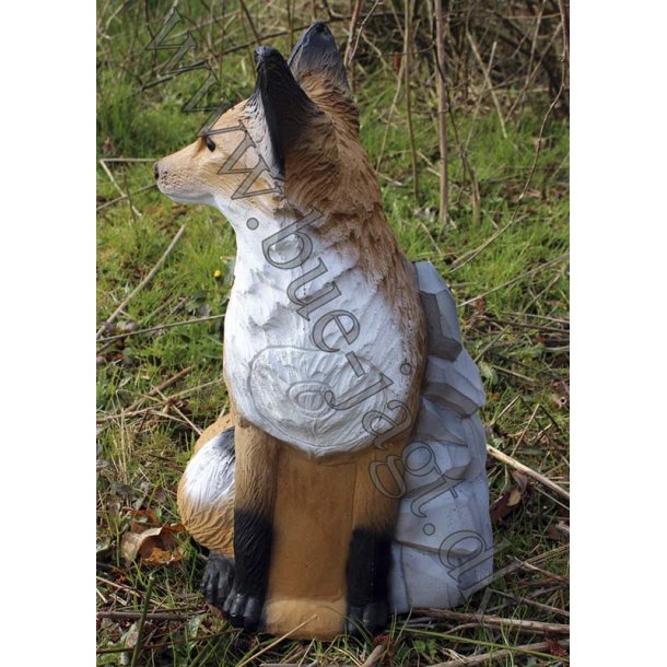 Siddende 3D Rv med klippe baggrund