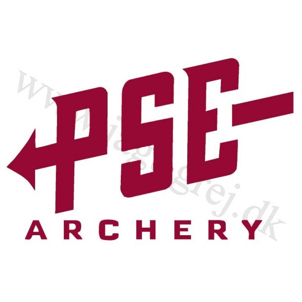 PSE logo