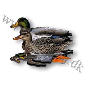 6 stk. fold-ud Grand fra FUD