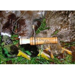 Andersen's Special Edition