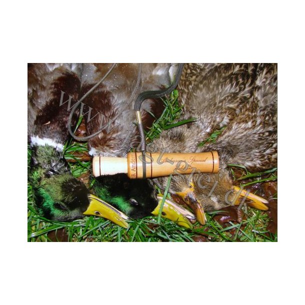 Andersen's Special Edition